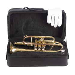 CORNETA AMADEUS PISTONES MONEL | MÚSICA BILBAO